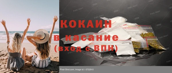 шишки Весьегонск