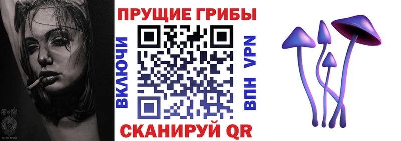 Псилоцибиновые грибы Magic Shrooms  мориарти наркотические препараты  Саранск 