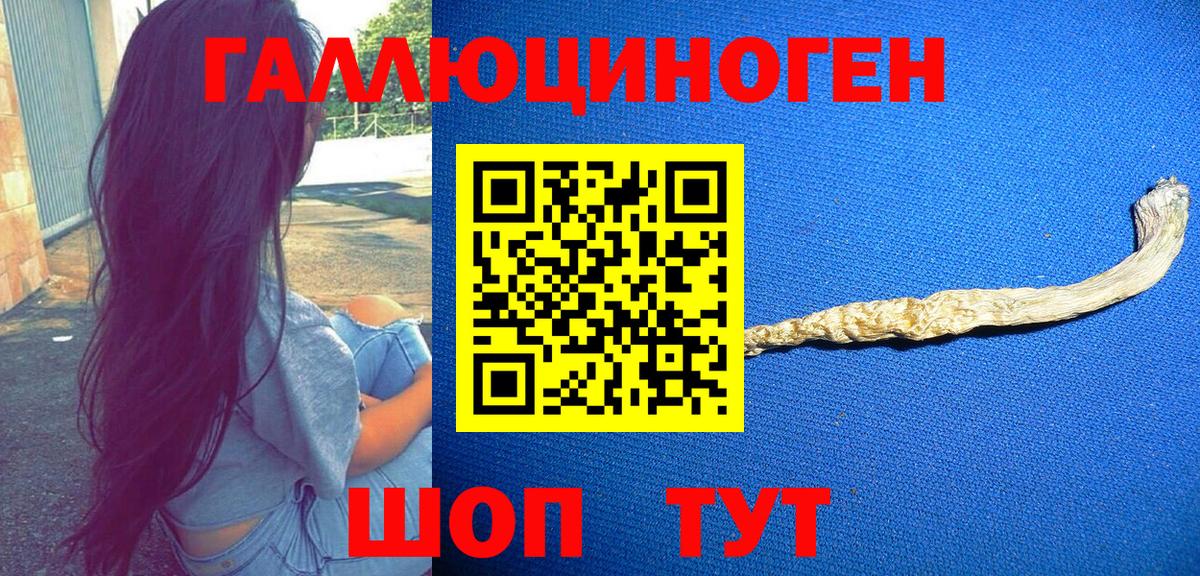 Псилоцибиновые грибы ЛСД Саранск