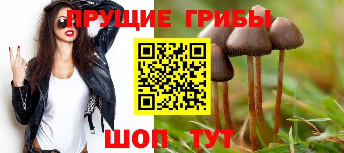 Саранск  Псилоцибиновые грибы Psilocybine cubensis  Вход с VPN  Псилоцибиновые грибы ЛСД 